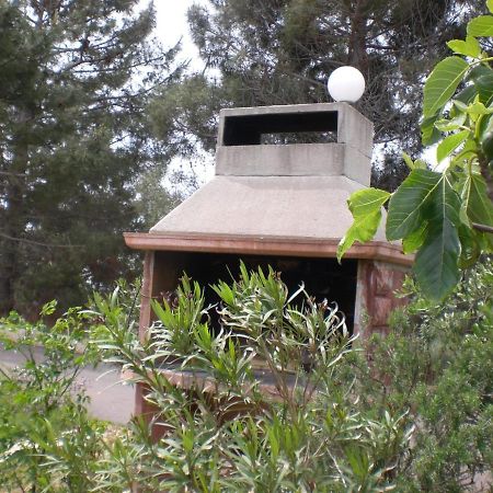 Apartmani Vesna Vir Bagian luar foto
