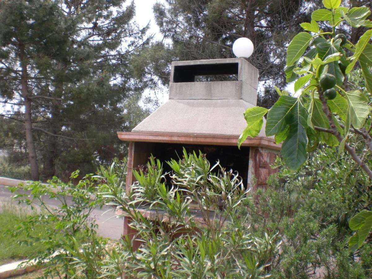 Apartmani Vesna Vir Bagian luar foto